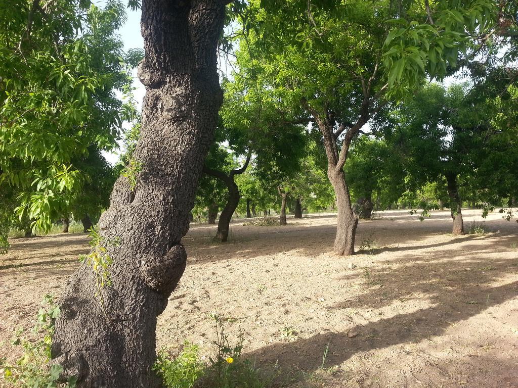 Villa A Lumia Noto Exterior foto
