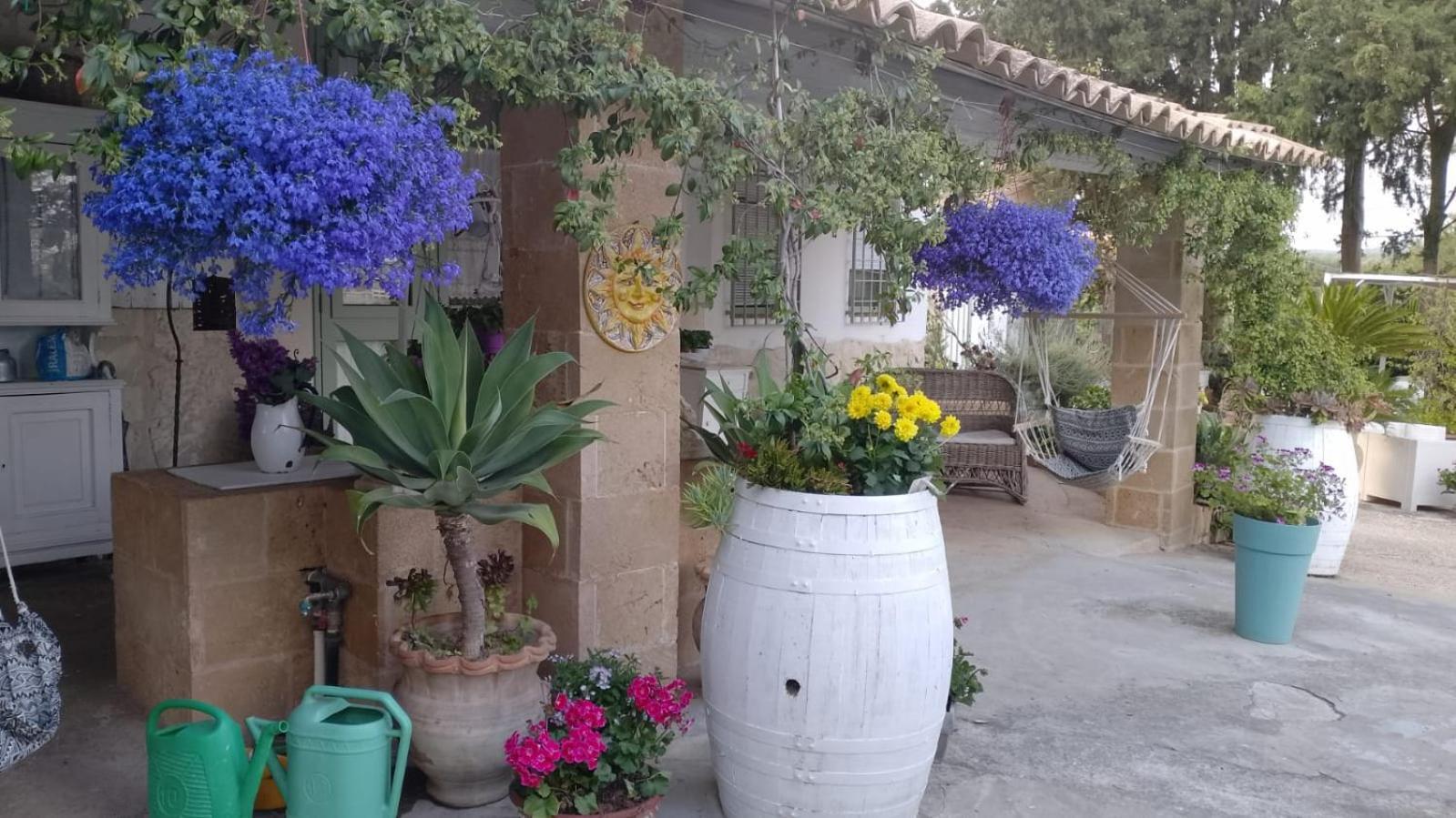 Villa A Lumia Noto Exterior foto